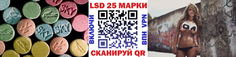 дарнет шоп  Андреаполь  Лсд 25 экстази кислота 
